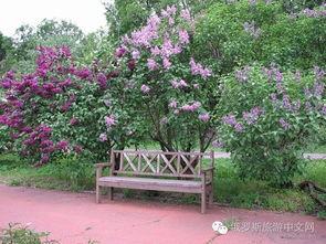 欧美黑料 第5页