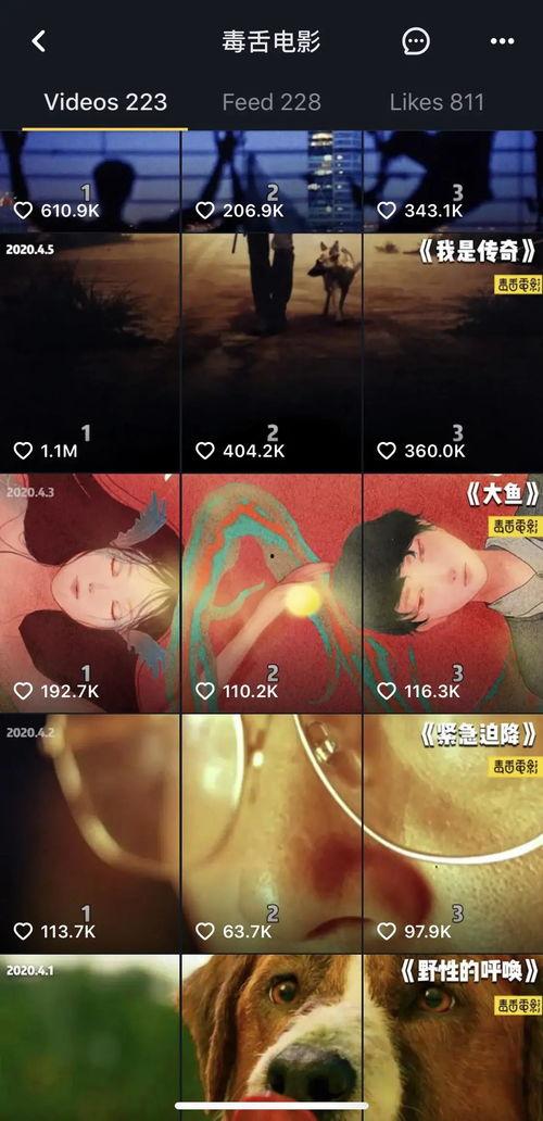 日韩吃瓜 第4页